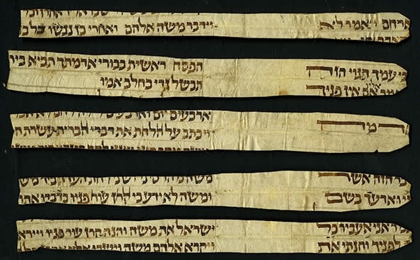 Hebrew fragments from the city library