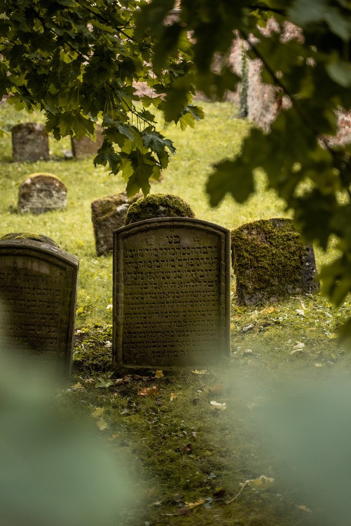 Jewish cemetery, 7
