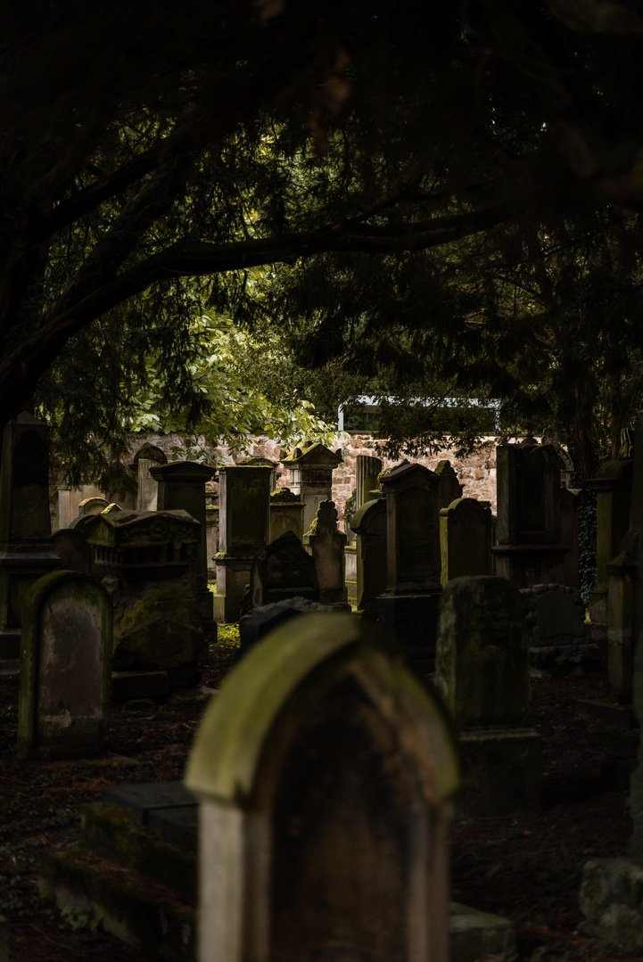 Jewish cemetery, 8